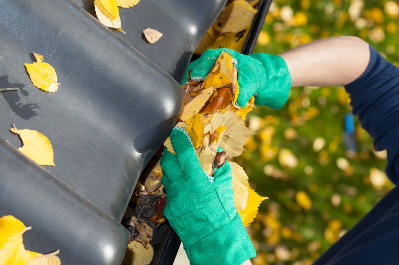 Holiday Gutter Maintenance